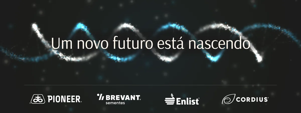 O mesmo estudo do túnel com a hélice de DNA feita de partículas de luz.